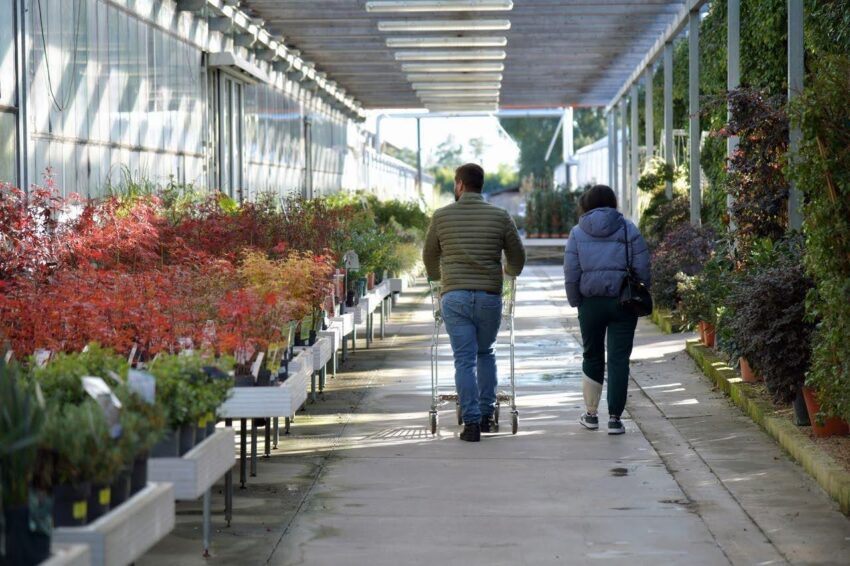 Garden Centres