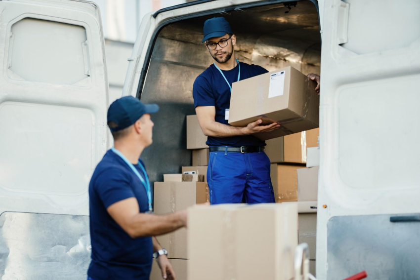 Removal Services
